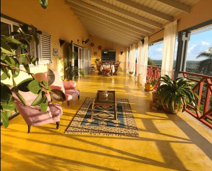 The open veranda, cane chairs and potted palms looking out over the treetops